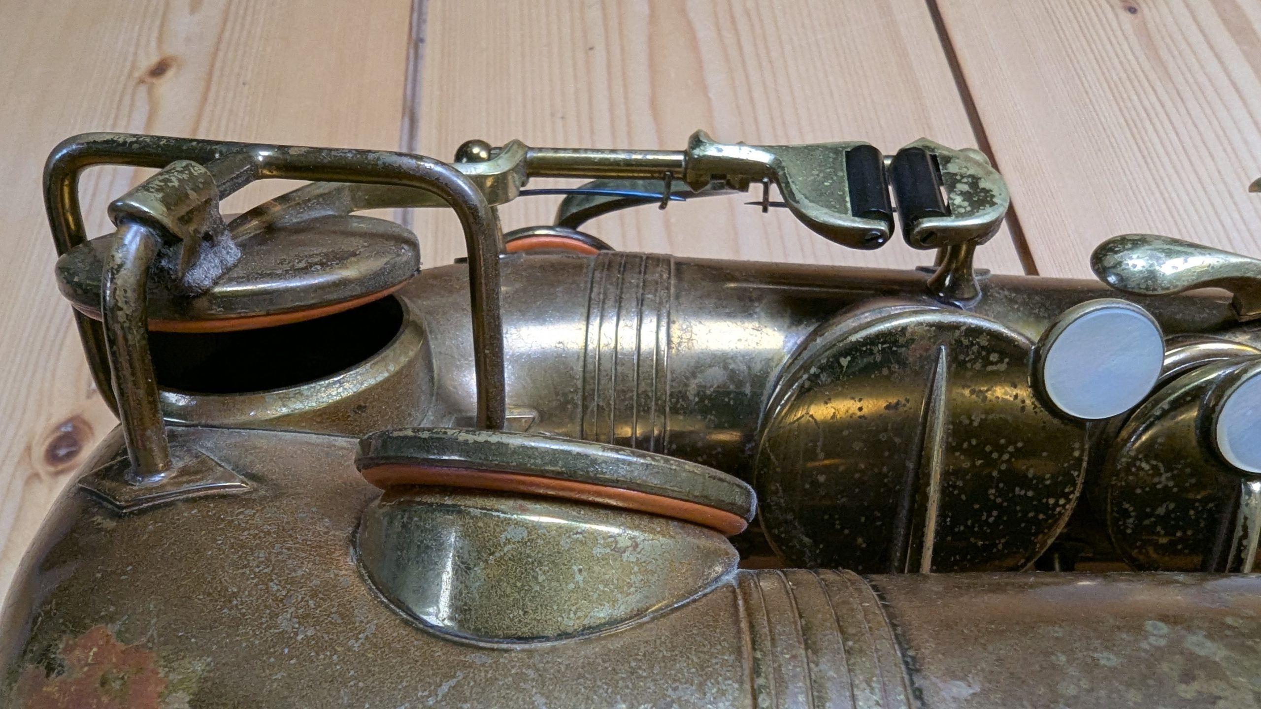 PXL_20251114_125442165.MP