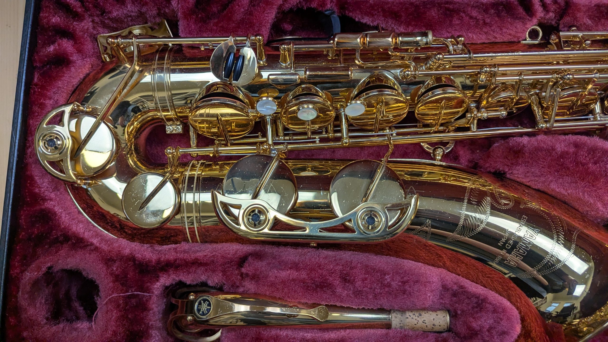 PXL_20251114_133237380.MP